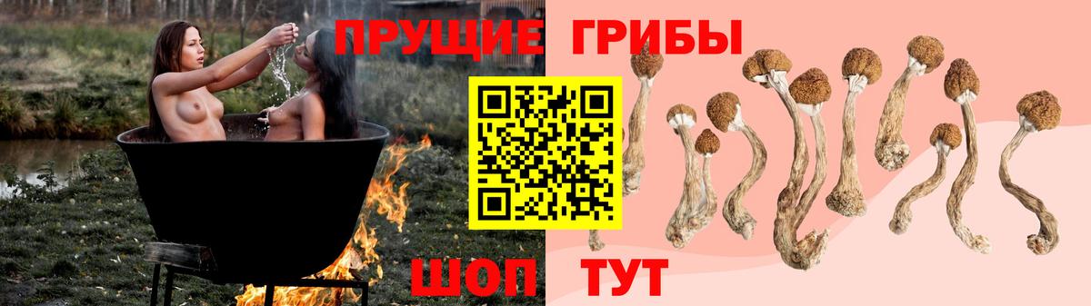 Балашов  Псилоцибиновые грибы Magic Shrooms  Вход с VPN  Псилоцибиновые грибы Magic Shrooms 